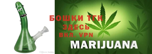 соль ск Снежинск