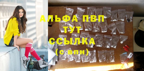 соль ск Снежинск
