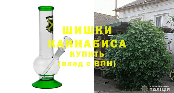 соль ск Снежинск