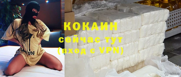 дживик Сосновка
