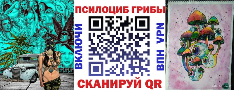 Купить закладки  Сосновка  Псилоцибиновые грибы прущие грибы 